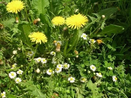 هتل Biohof Mayerhofer