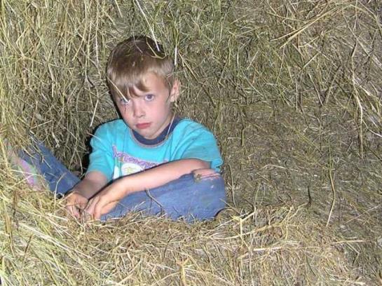 Отель Biohof Mayerhofer