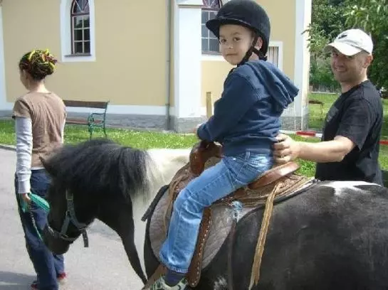 Отель Familie Kaltenbrunner - Gaudihof