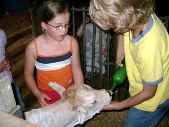 Отель Ferienhof Berger