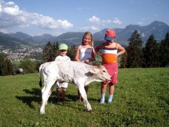 Отель Ferienhof Berger