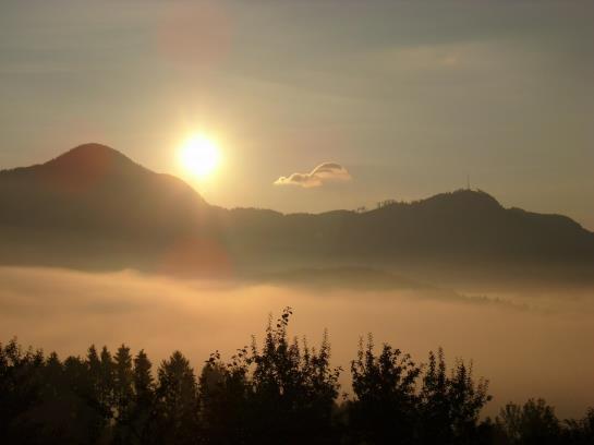 Отель Ferienhof Berger