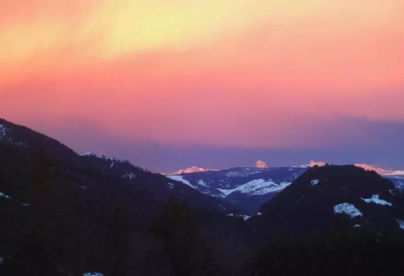 酒店 Ferienhof Gindl Und Gästehaus Gindl