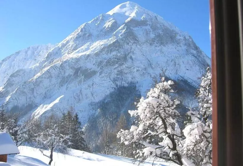 酒店 Ferienhof Gindl Und Gästehaus Gindl