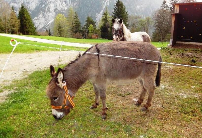 호텔 Ferienhof Gindl Und Gästehaus Gindl