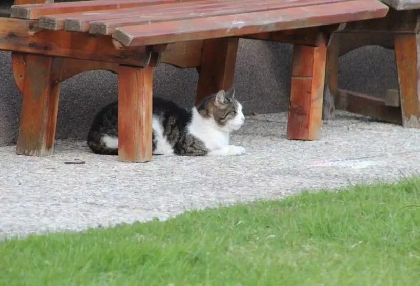 酒店 Ferienhof Osl