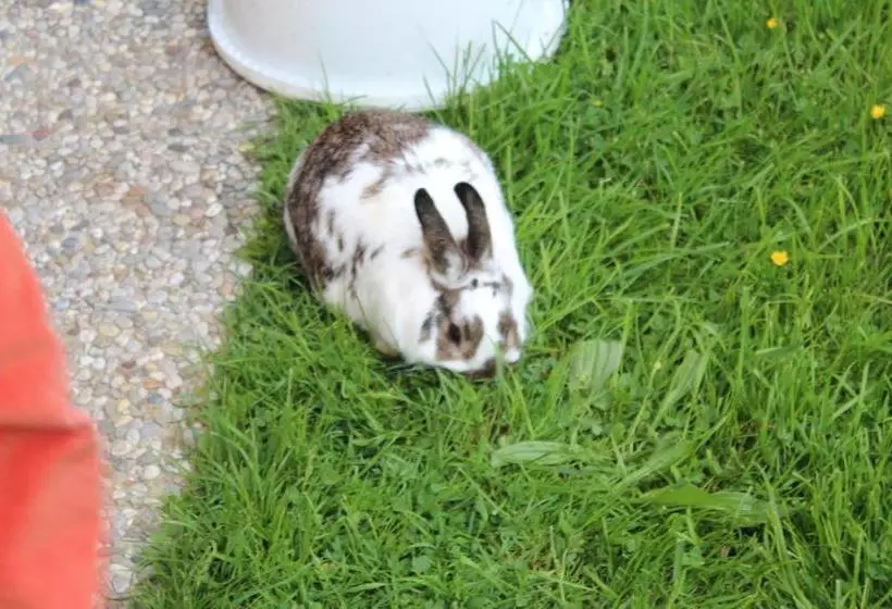 酒店 Ferienhof Osl