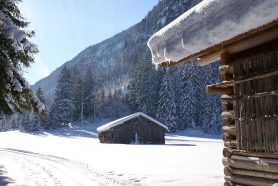 Hotelli Ferienwohnung Eiter Fridolin