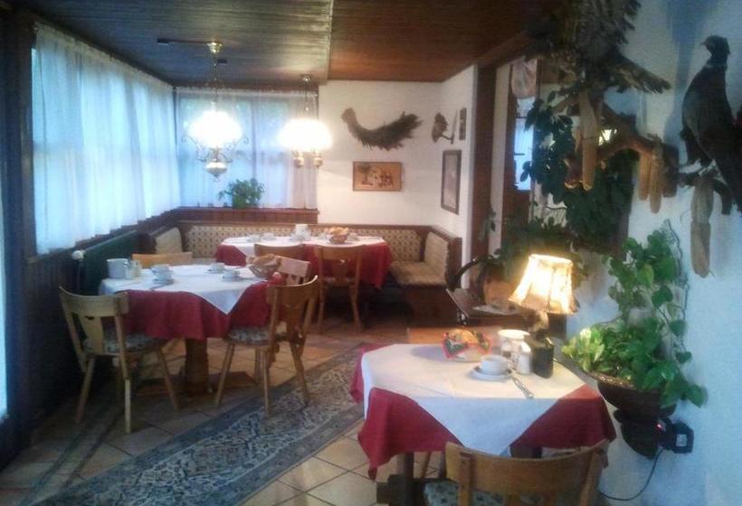 酒店 Pension Haus Böhm