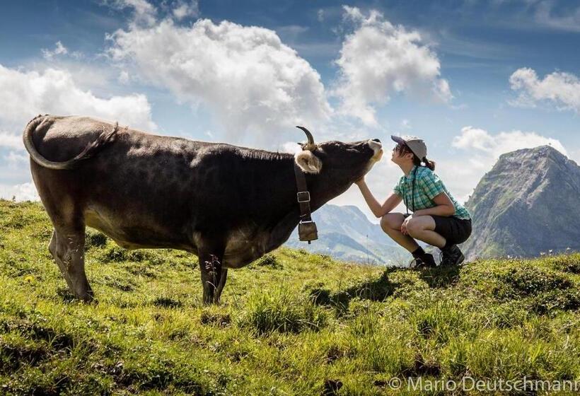 فندق Haus Hochzeigerblick