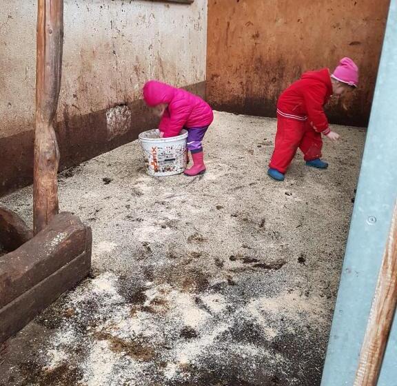 فندق Haus Hochzeigerblick