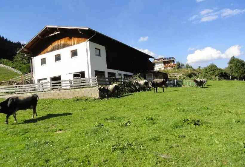 ホテル Haus Hochzeigerblick