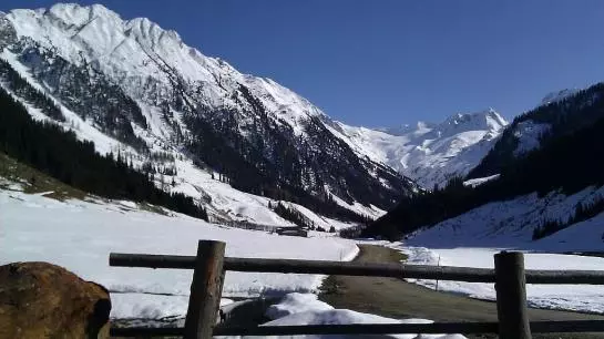 Bed and Breakfast Hollerer Pension