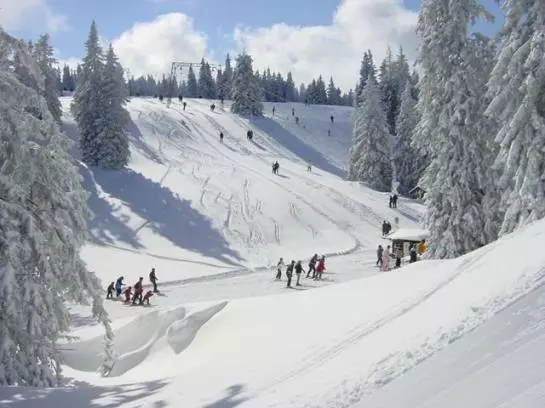 تختخواب و صبحانه Kasbergblick Pension