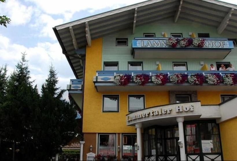 Отель Lammertalerhof