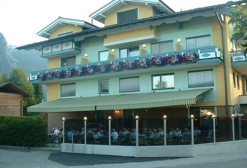 Отель Lammertalerhof