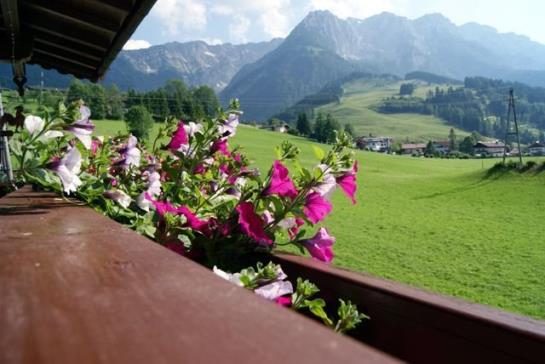 膳宿费 Liftstueberl Walchsee Gasthof