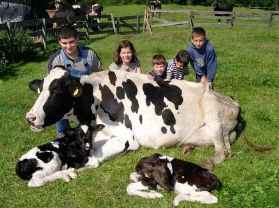 Отель Stillerhof