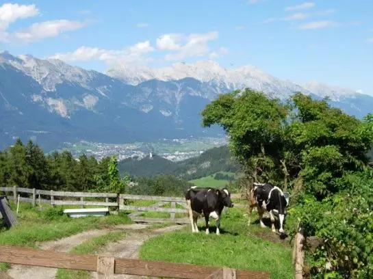 Отель Stillerhof