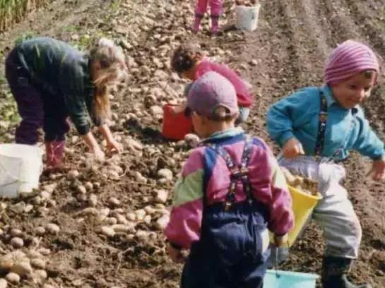 Отель Stillerhof