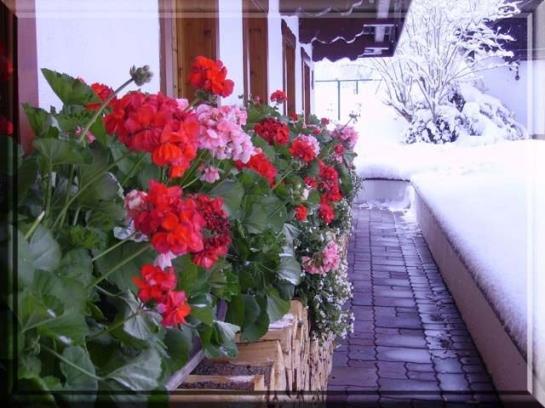 Отель Urschnerhof