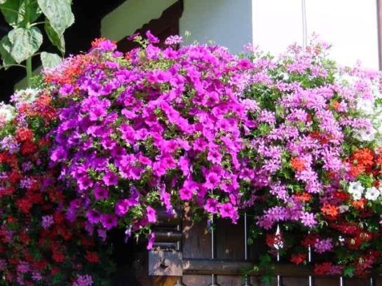 Отель Urschnerhof