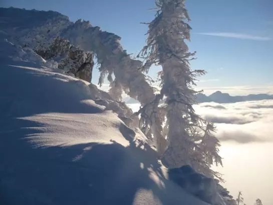 Otel Wallner Zimmer Mit Bergblick
