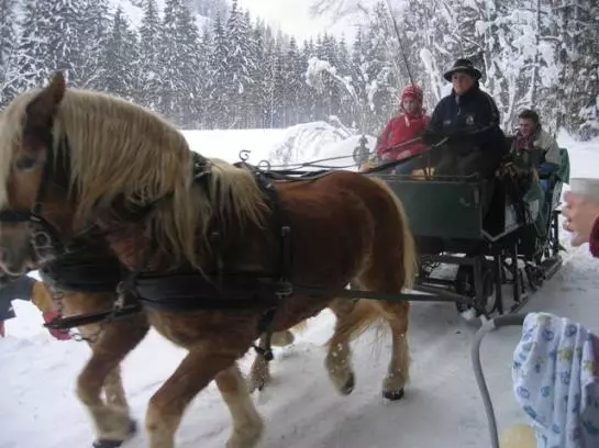 Otel Wallner Zimmer Mit Bergblick
