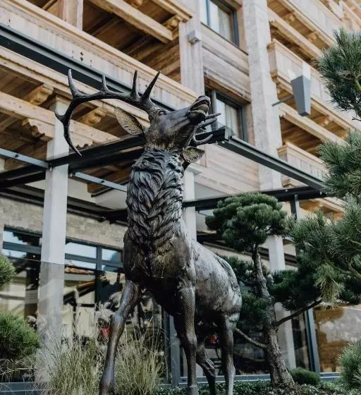 호텔 Wellnessresidenz Alpenrose