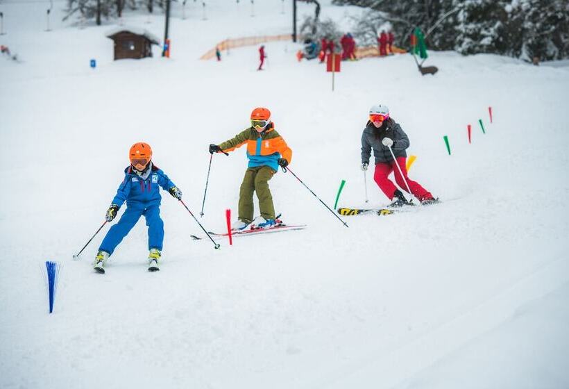 호텔 Wenger Alpenhof