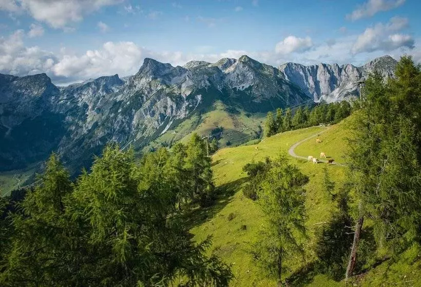 酒店 Wenger Alpenhof