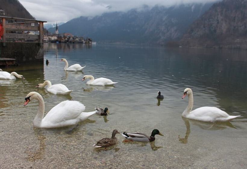 Mühlradl Apartments Gosau