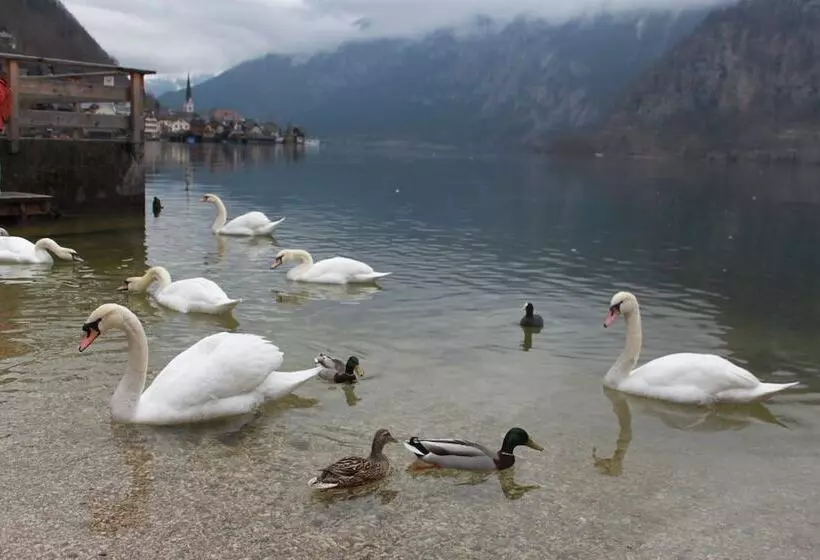 Mühlradl Apartments Gosau