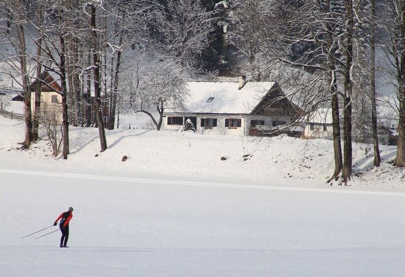 Mühlradl Apartments Gosau
