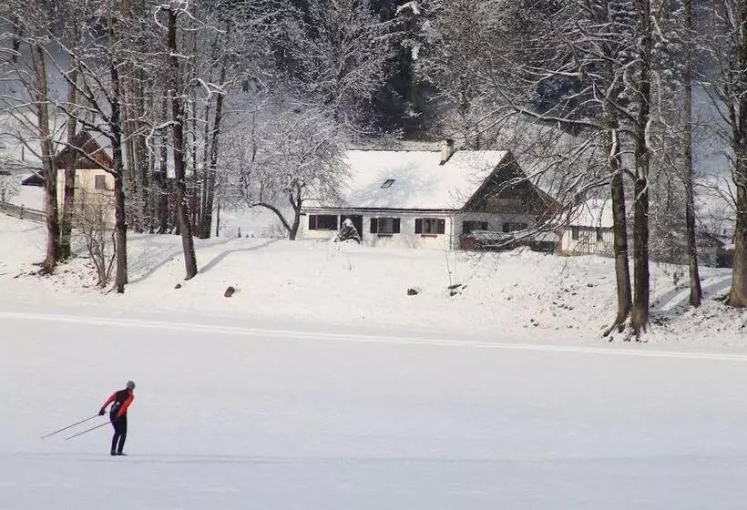 Mühlradl Apartments Gosau