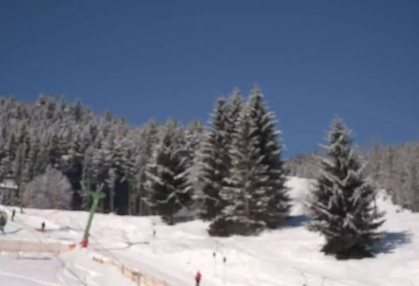 Mühlradl Apartments Gosau