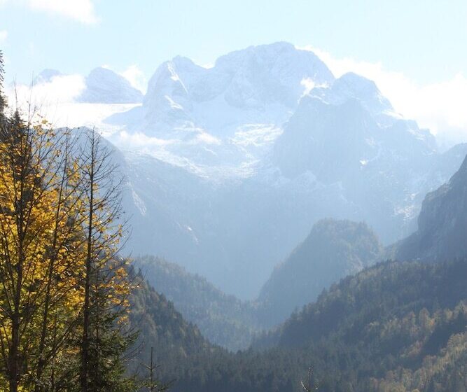 Mühlradl Apartments Gosau