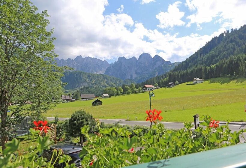 Mühlradl Apartments Gosau