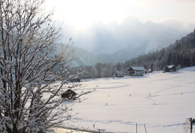 Mühlradl Apartments Gosau