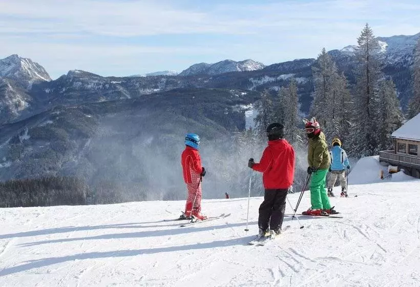 Mühlradl Apartments Gosau