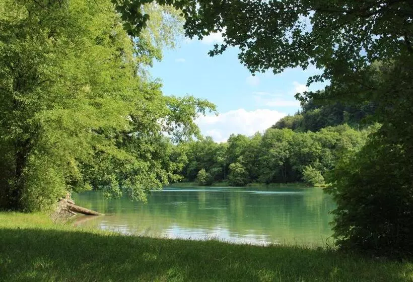 ペンション Wasserstelz Historisches Genusshotel & Restaurant Am Rhein