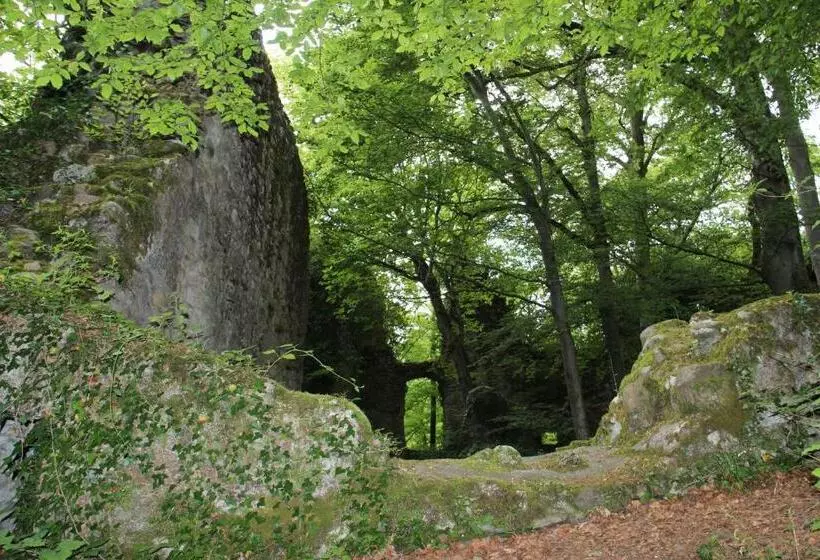 ペンション Wasserstelz Historisches Genusshotel & Restaurant Am Rhein
