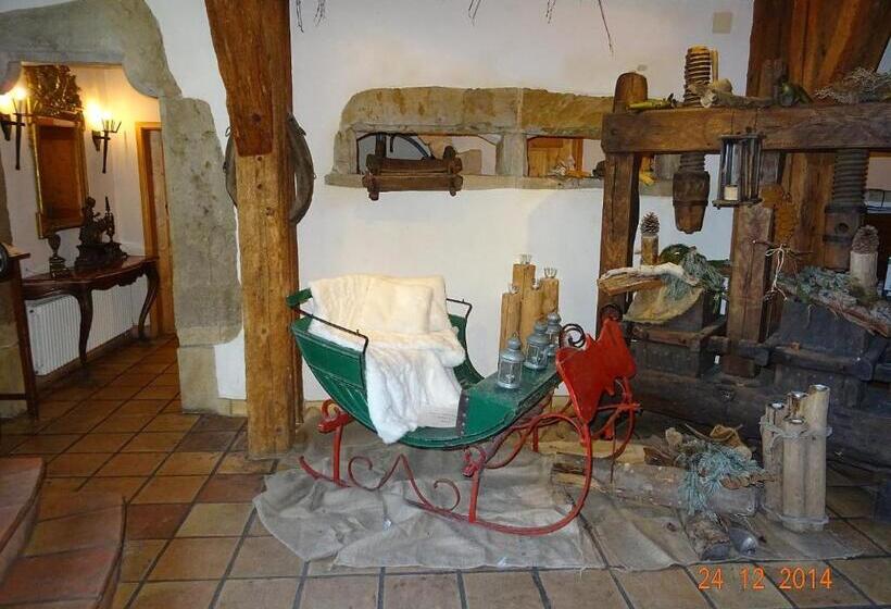 פנסיון Wasserstelz Historisches Genusshotel & Restaurant Am Rhein