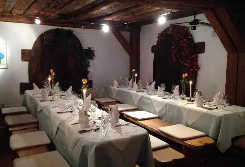 ペンション Wasserstelz Historisches Genusshotel & Restaurant Am Rhein