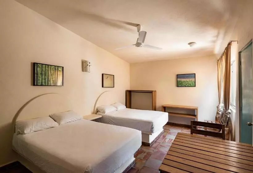 ホテル Bungalows Las Arenas