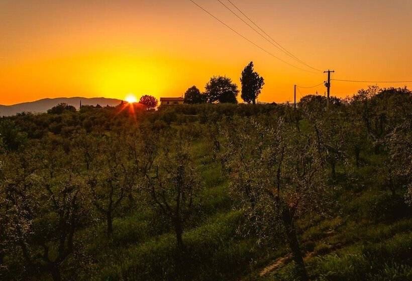 مبيت وإفطار Agriturismo Bellosguardo Double Room