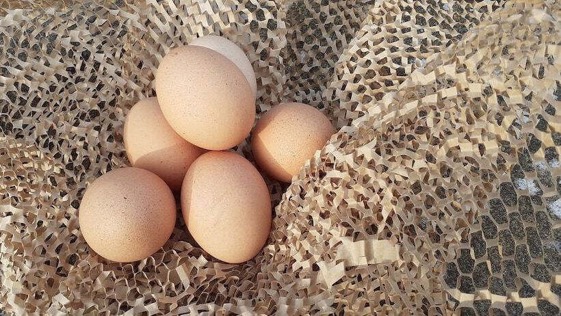 Henblas Holiday Cottage