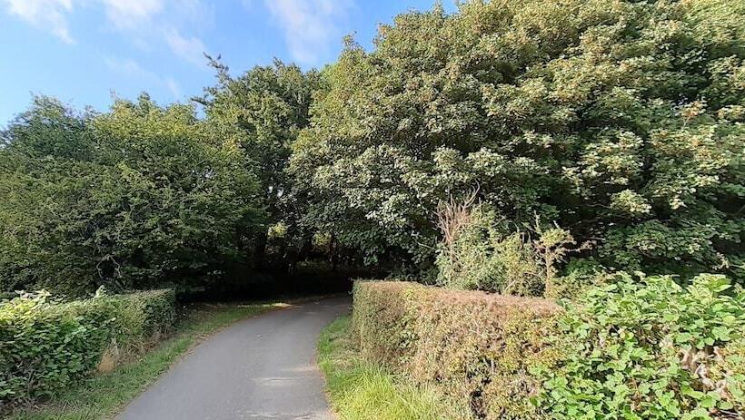 Henblas Holiday Cottage