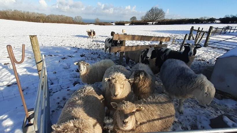 Henblas Holiday Cottage