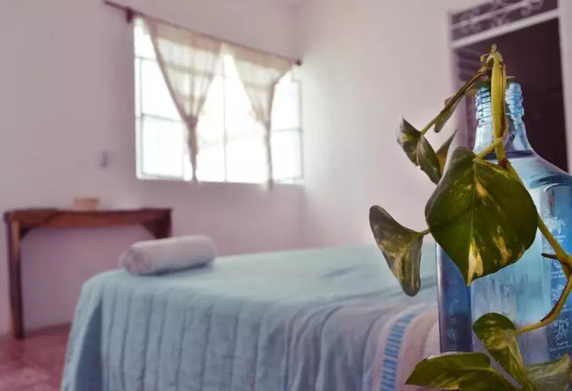 Hotelli Casa Pancho Playa